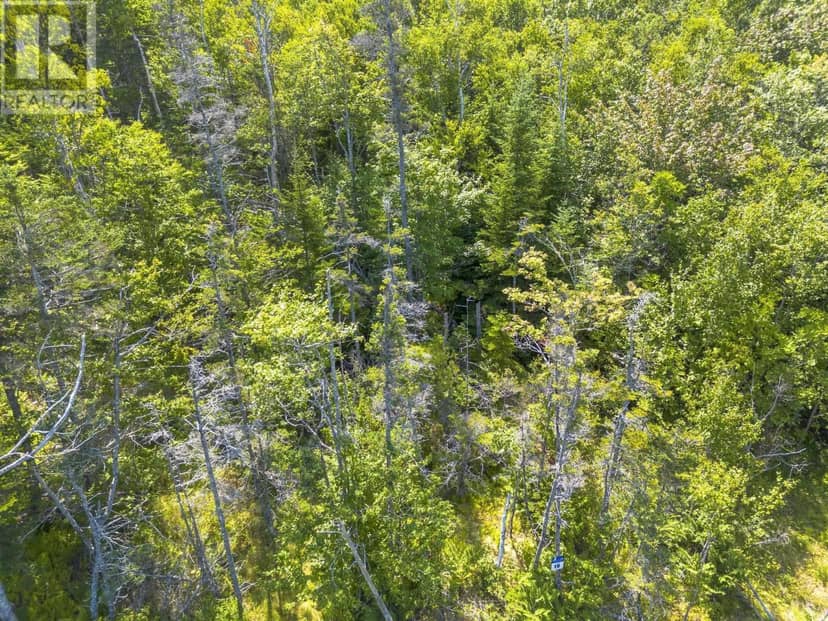 Lot 19 Pelton Mountain Road — photo 3 of 16