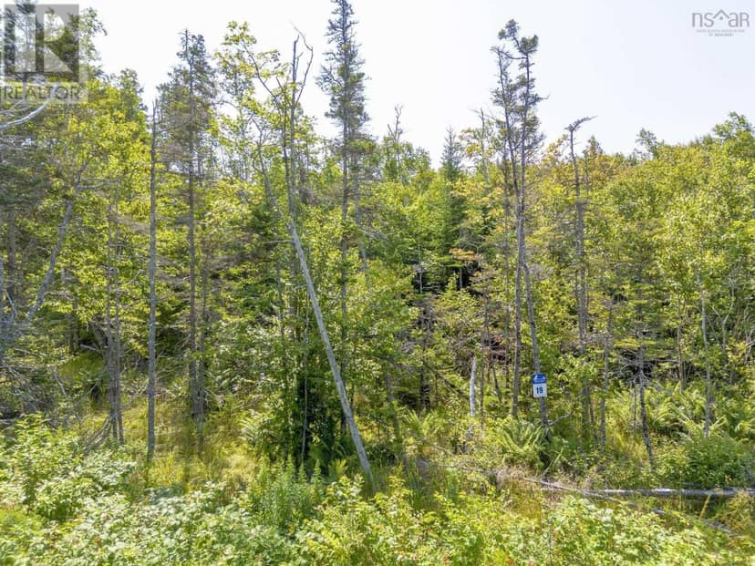 Lot 19 Pelton Mountain Road — photo 9 of 16