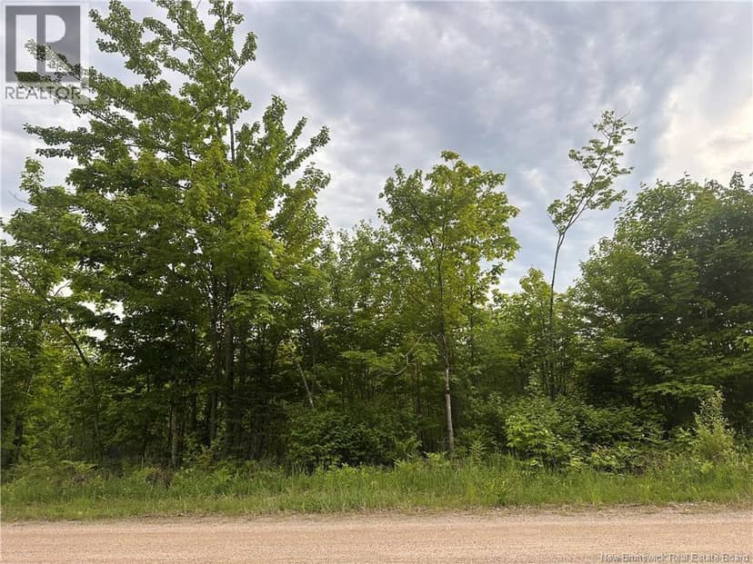 Lot Tay Falls Road — photo 1 of 8