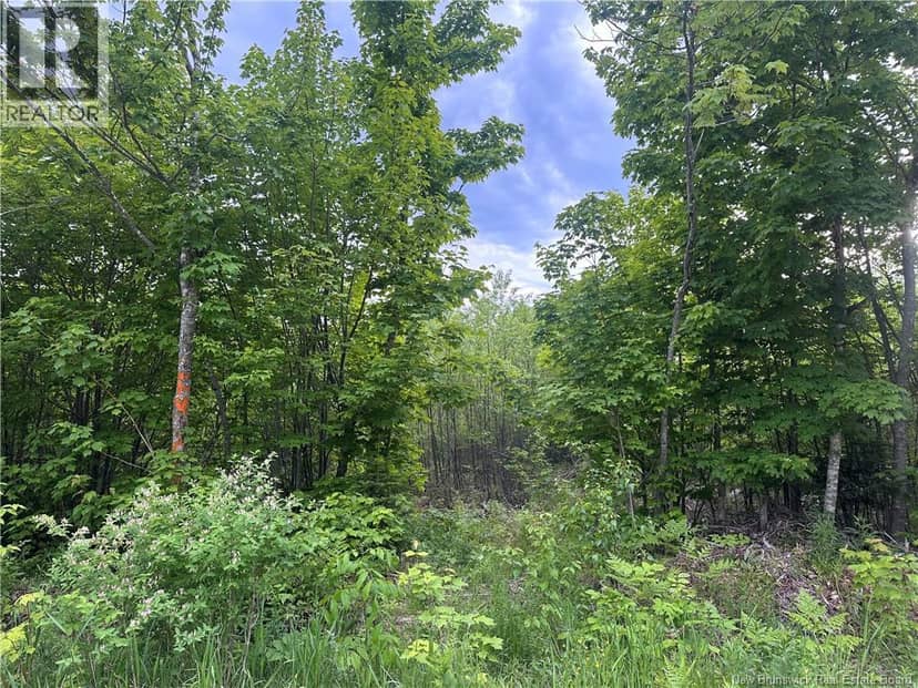 Lot Tay Falls Road — photo 3 of 8