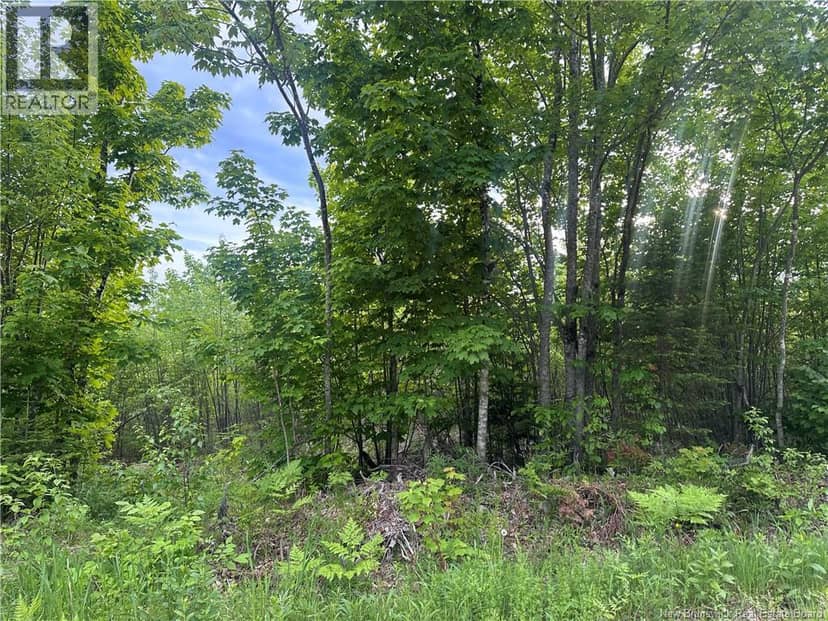Lot Tay Falls Road — photo 4 of 8