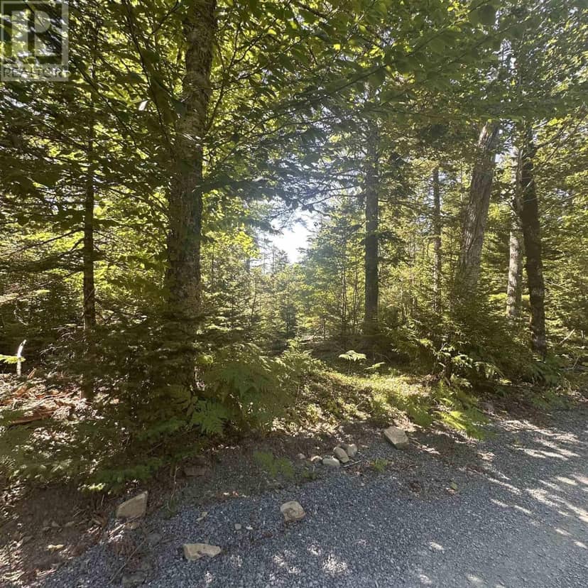 Lot (PID 70241864) Wellington Road, Buckfield, photo 7