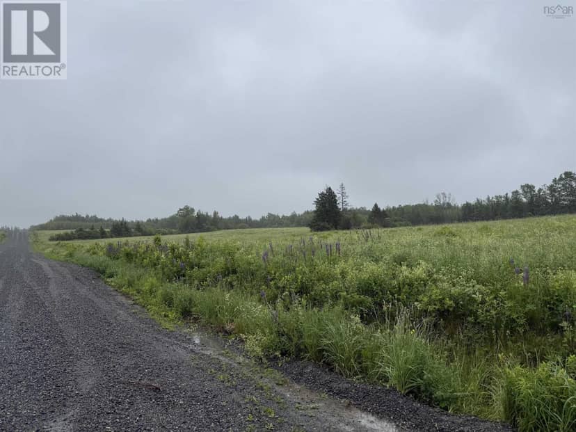 Wallie Mingo Road — photo 2 of 2