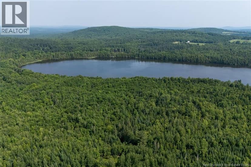 n/a Mud Lake Road — photo 16 of 16