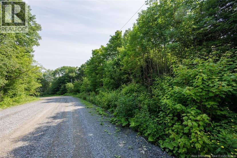 n/a Mud Lake Road — photo 6 of 16