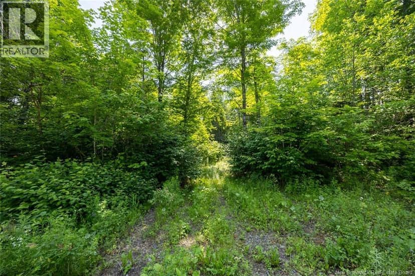 n/a Mud Lake Road — photo 7 of 16