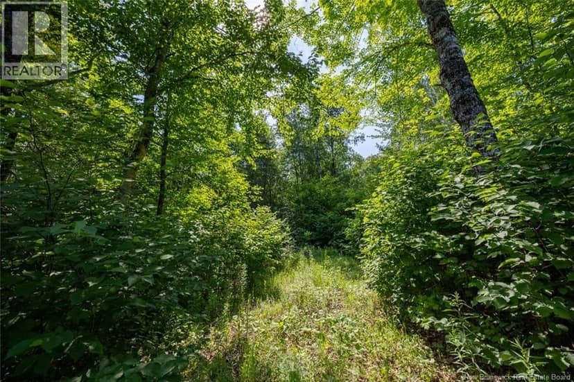 n/a Mud Lake Road — photo 8 of 16