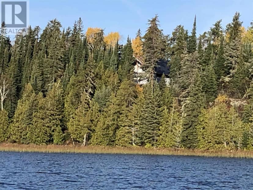 PCL 50 Dog Lake — photo 4 of 15