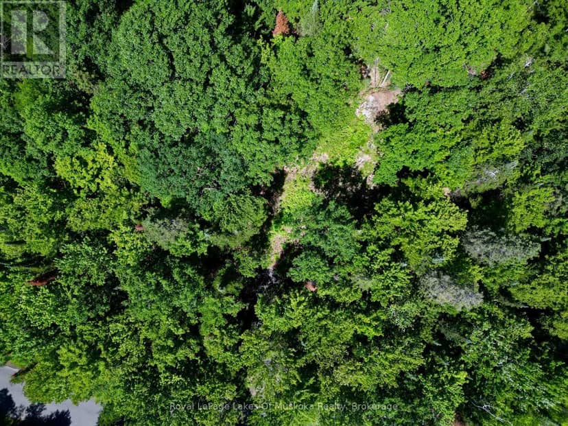 Lot 6 Fairy Falls Road, Lake of Bays, photo 3