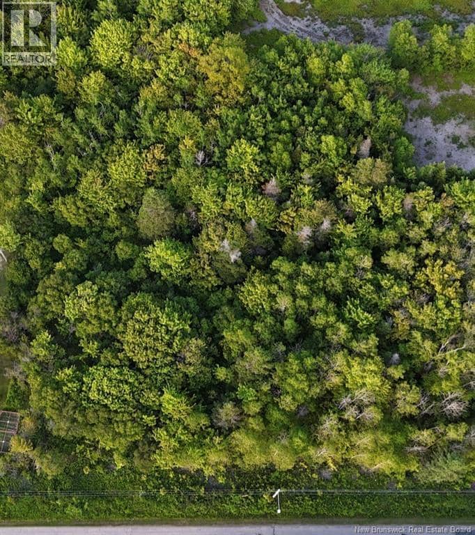 1.42 acre rue de la Baie, Maisonnette, photo 3