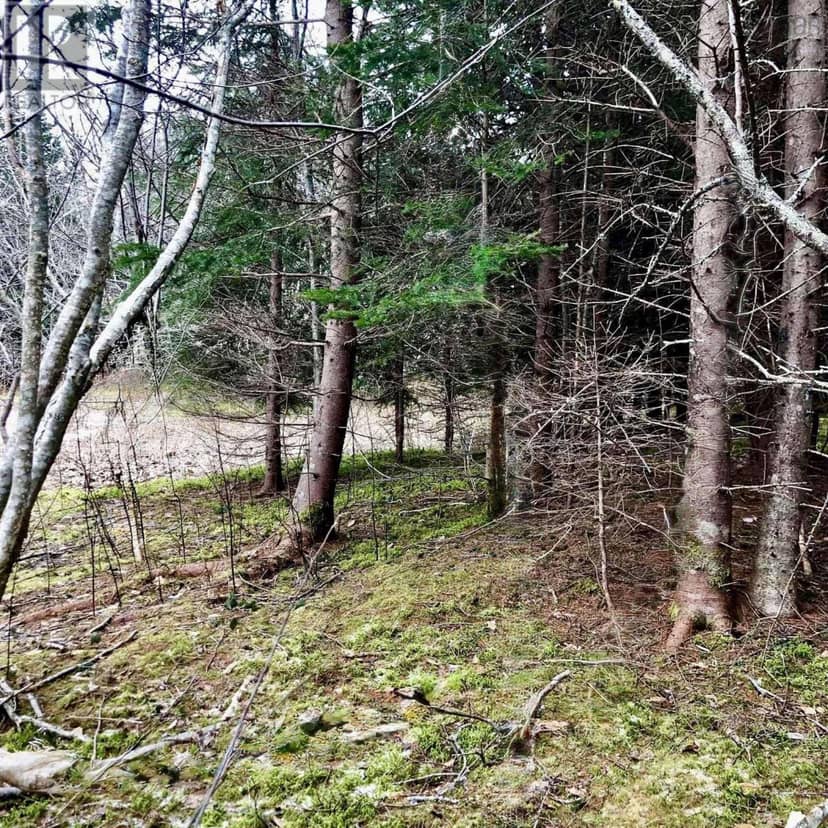 0 Main Rd., Hureauville, photo 2