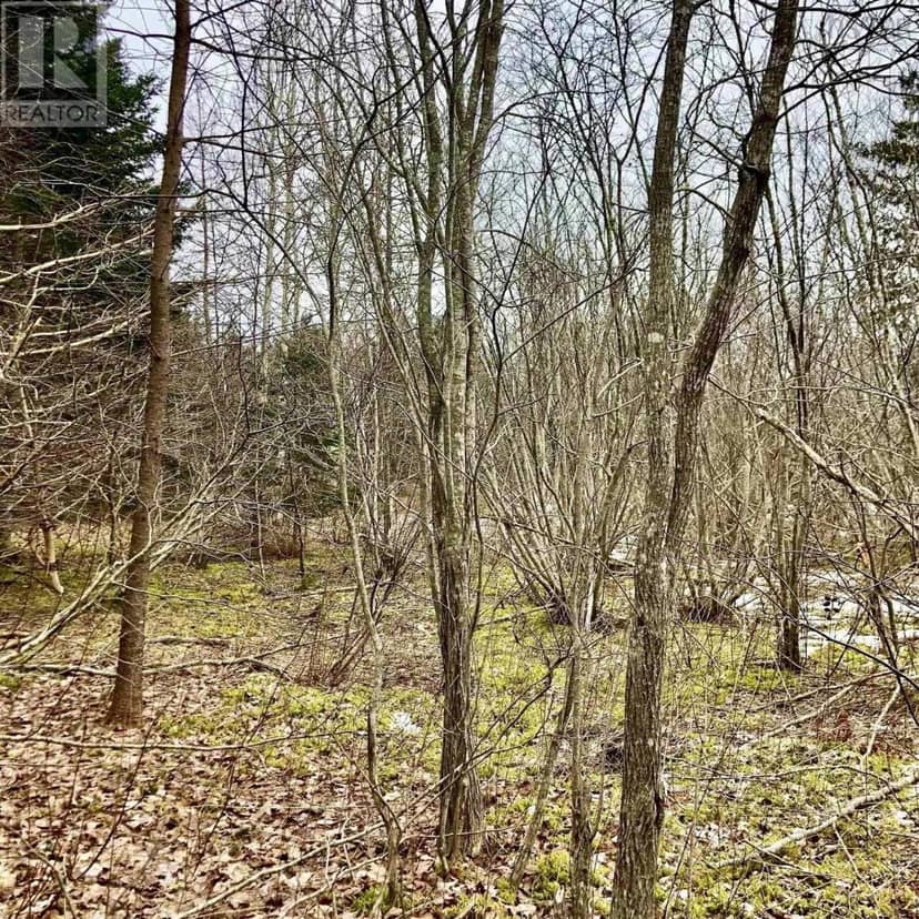 0 Main Rd., Hureauville, photo 4