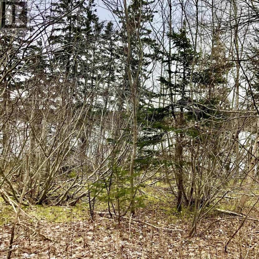 0 Main Rd., Hureauville, photo 5