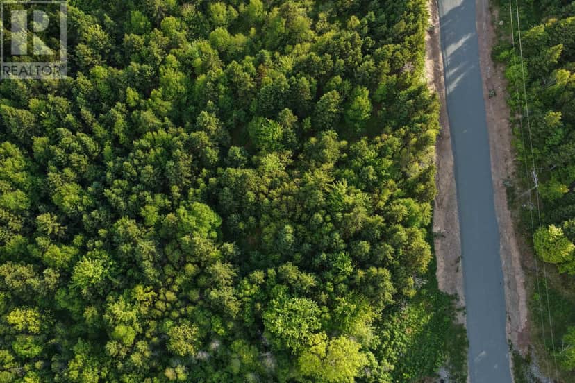Lot 10 No 19 Highway — photo 10 of 32