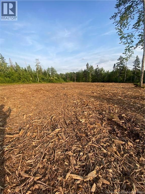 Lot Raymel Road, Grand-Barachois, photo 6