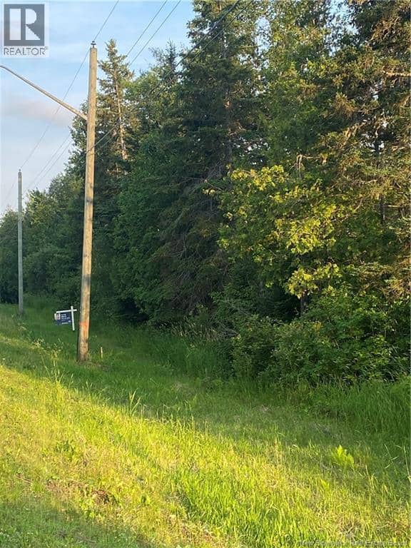 Lot Raymel Road, Grand-Barachois, photo 8
