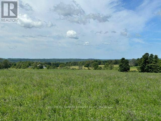 4479 2nd Line N — photo 27 of 30