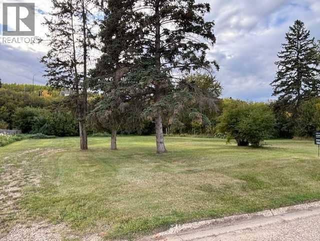 10702 90 Street, Peace River, photo 2