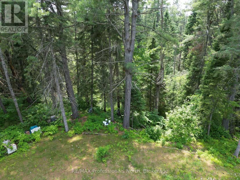 1940 Scotch Line Road, Minden Hills, photo 8