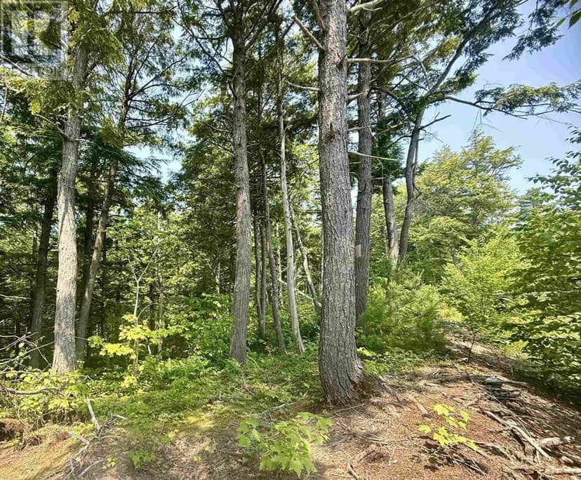 Lot 18 Redbird Drive, Malagawatch, photo 7