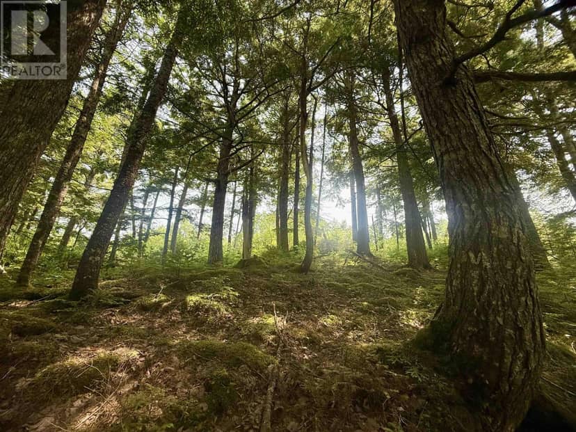 Lot 18 Redbird Drive, Malagawatch, photo 8