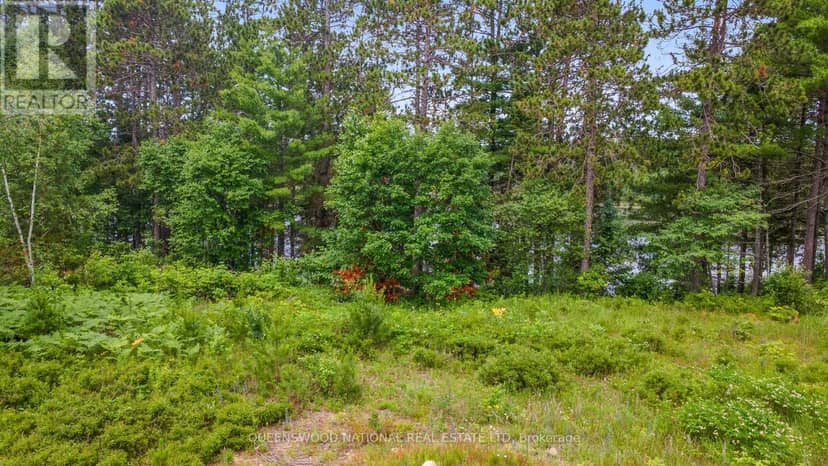 Lot 48 Lakeview Parkway, Madawaska Valley, photo 7