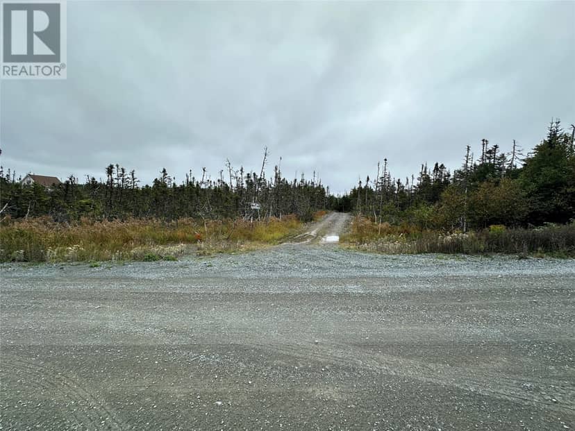 65A Connors Cove Road, Brigus Junction, photo 5