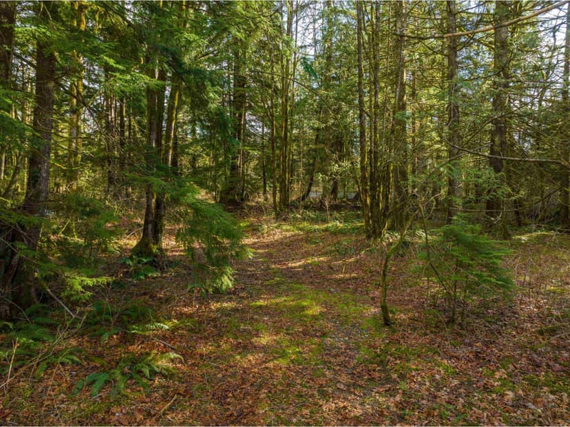 36161 RIDGEVIEW ROAD, Mission