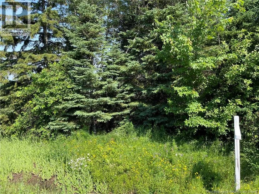 Lot 1 Communication Road, Irishtown, photo 2