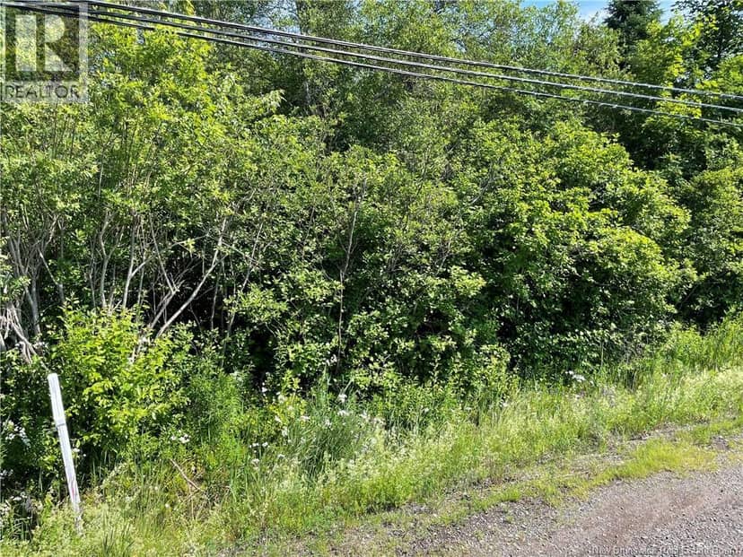 Lot 3 Communication Road, Irishtown, photo 2