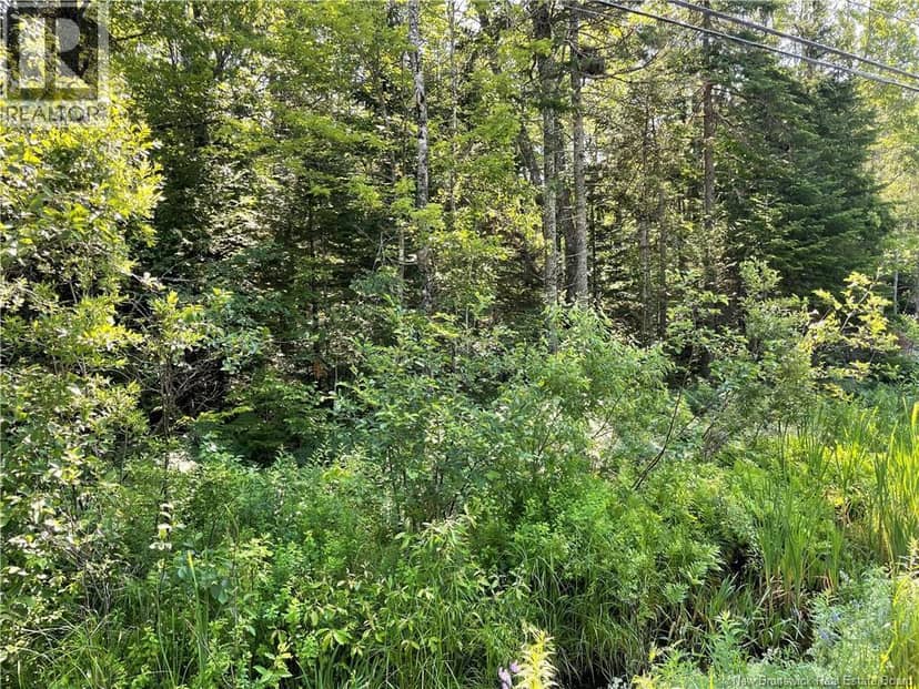 Lot 1 Route 490 — photo 2 of 3