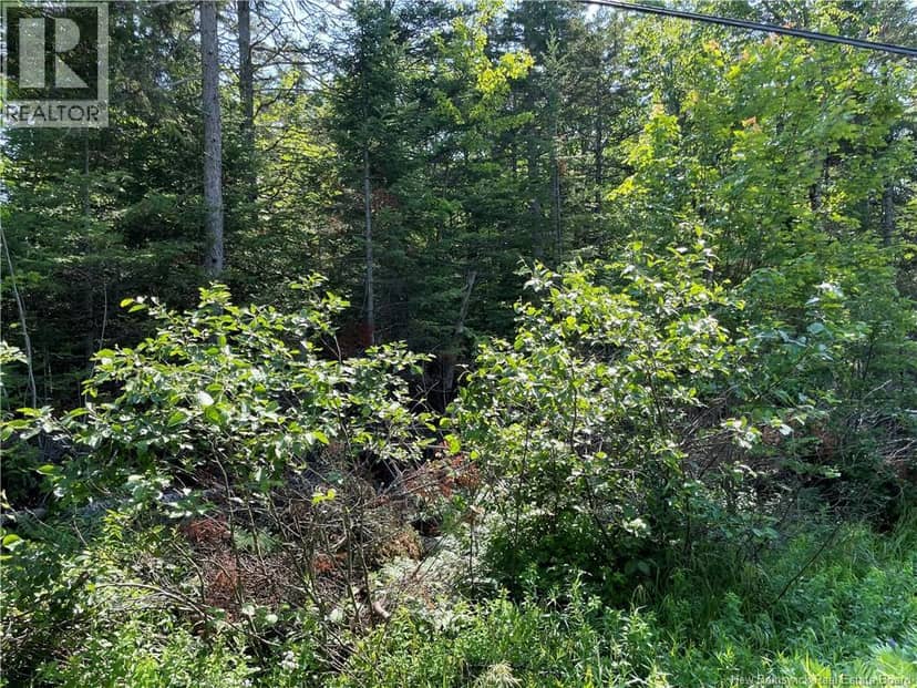 Lot 3 Route 490, McQuade