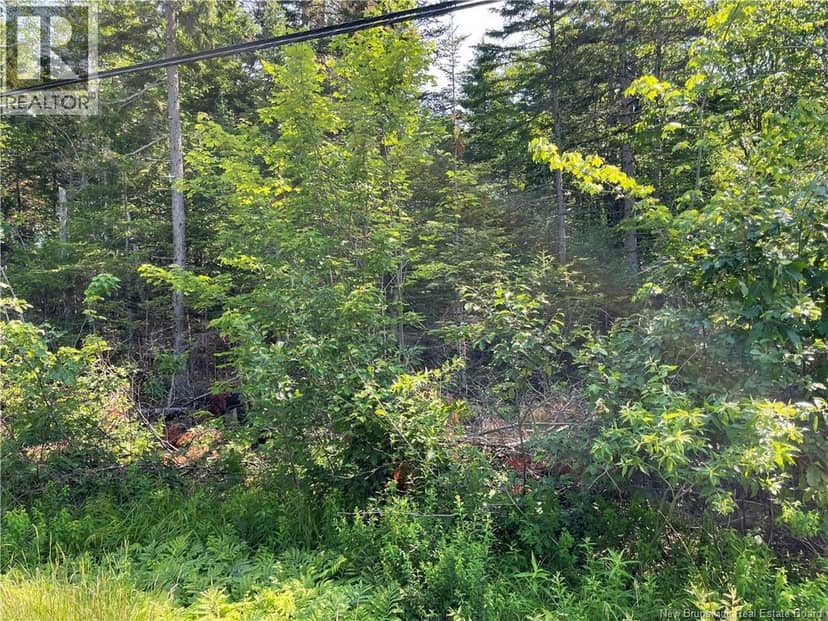 Lot 3 Route 490, McQuade, photo 2