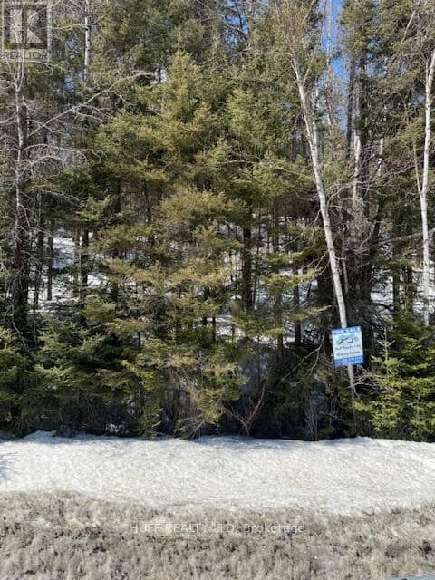 Pcl 13532 624 Highway — photo 7 of 10