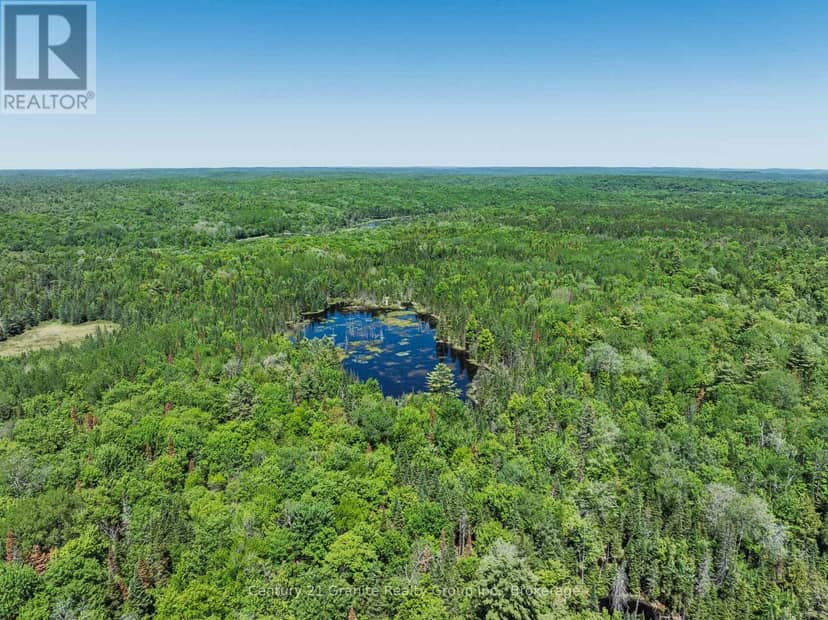 0 Brady Lake Road — photo 10 of 29