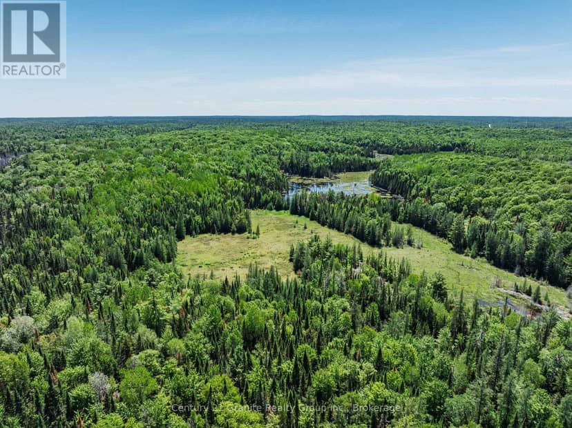0 Brady Lake Road — photo 11 of 29