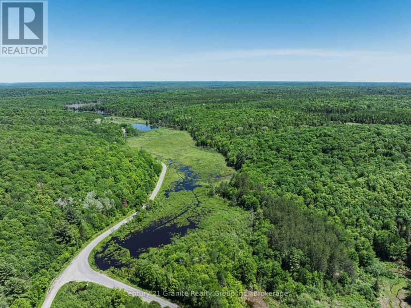 0 Brady Lake Road — photo 14 of 29