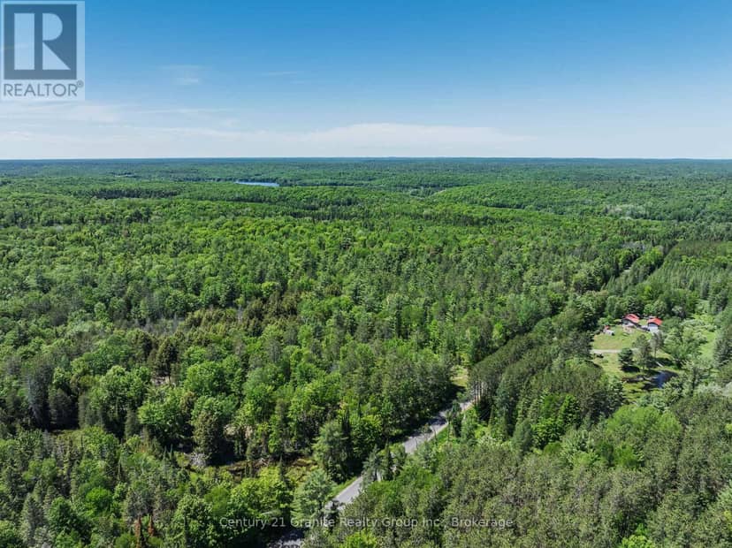 0 Brady Lake Road — photo 19 of 29