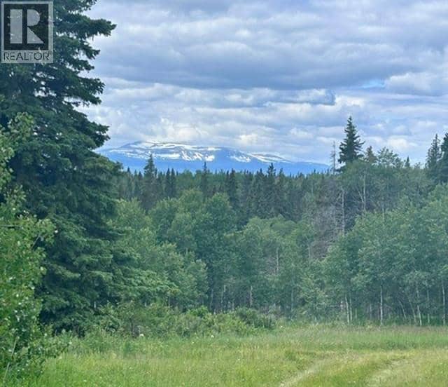18508 STEINNHOFF ROAD, Burns Lake, photo 8