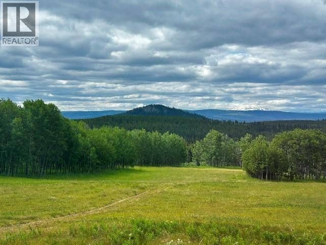 18508 STEINNHOFF ROAD, Burns Lake, photo 6