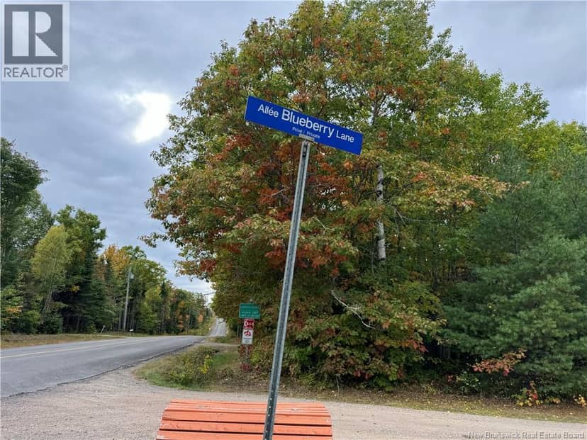 Blueberry Lane, Codys, photo 2