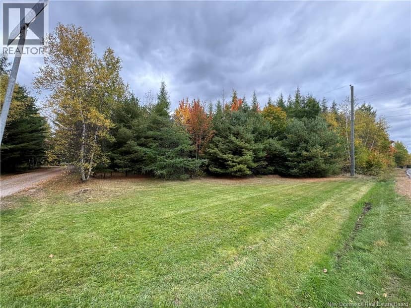 Blueberry Lane, Codys, photo 3