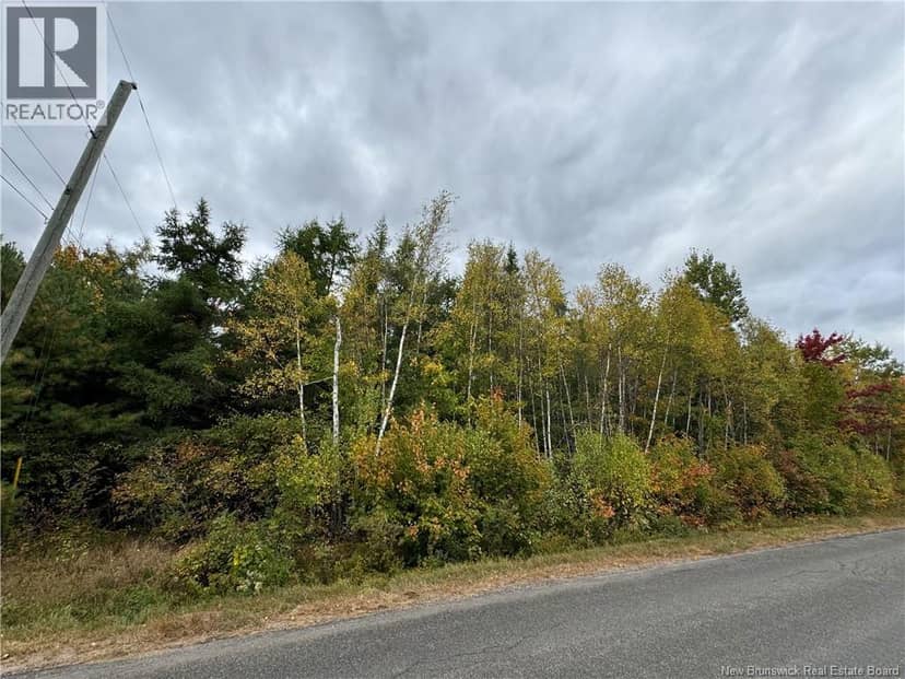 Blueberry Lane, Codys, photo 4