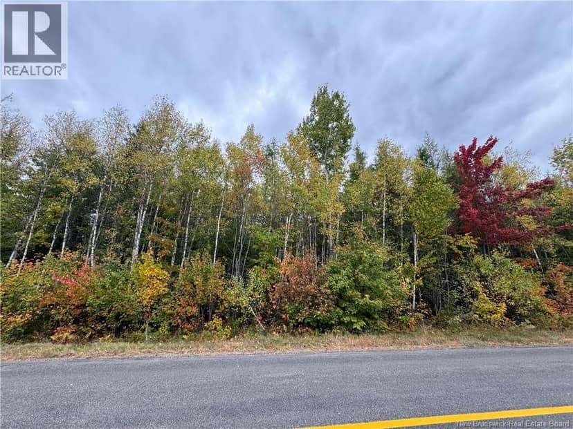 Blueberry Lane, Codys, photo 5