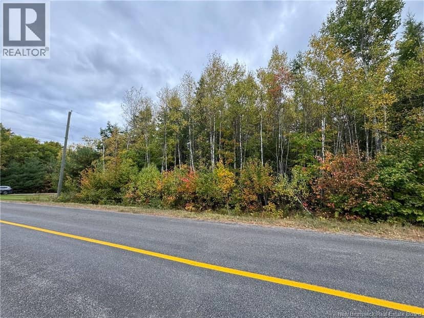 Blueberry Lane, Codys, photo 6