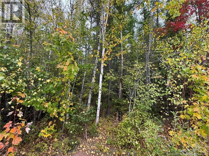 Blueberry Lane, Codys, photo 7