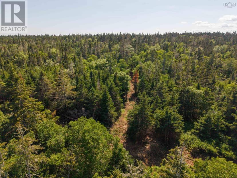 Front Acre Lot Conroad Beach Road, Lower East Chezzetcook, photo 8