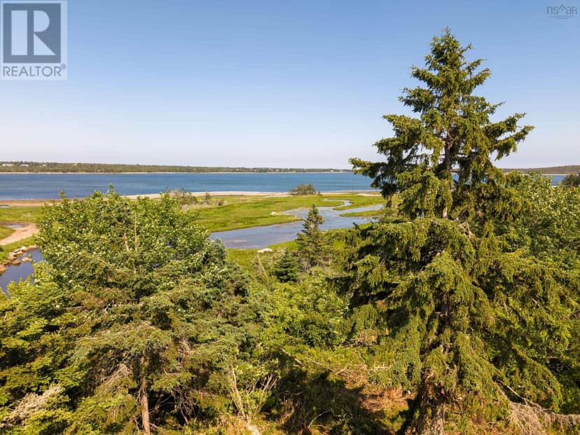 40  Acre Lot Conrod Beach Road — photo 17 of 40