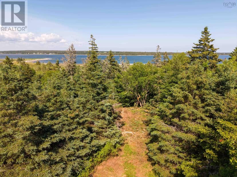 40  Acre Lot Conrod Beach Road — photo 15 of 40