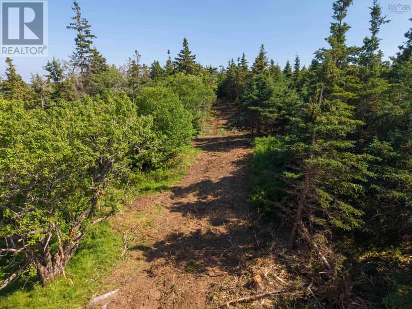 40  Acre Lot Conrod Beach Road — photo 23 of 40